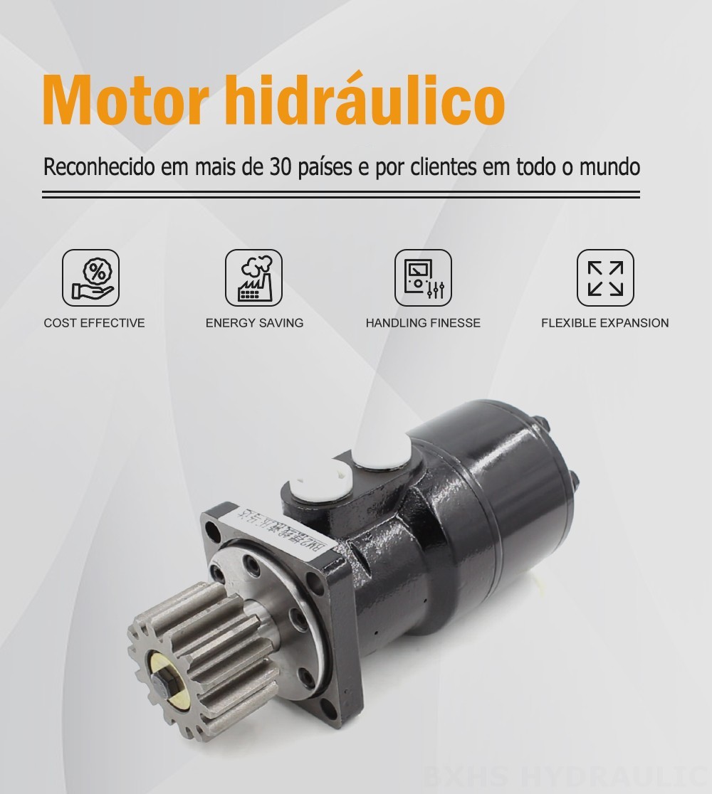 BMR_Cycloid Hydraulic Motor-2 63 cc/r 53 Lpm Motor Hidráulico